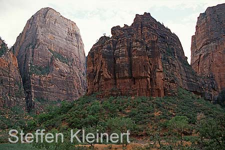 zion np - organ 023